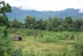 Kanchanaburi  gamta